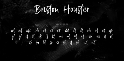 Briston Houster Font Poster 15