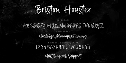 Briston Houster Font Poster 14