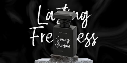 Briston Houster Font Poster 2