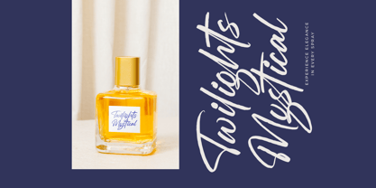 Mention Roberto Font Poster 11