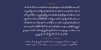 Mention Roberto Font Poster 15