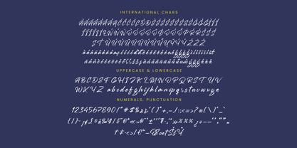 Mention Roberto Font Poster 14