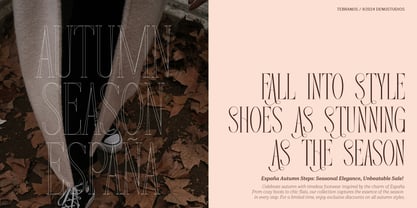 Tebranos Font Poster 2