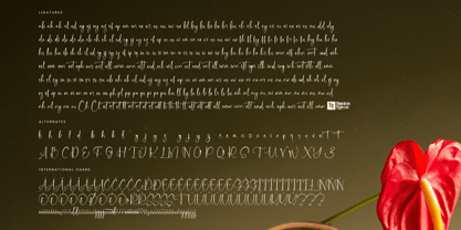 Delicately Font Poster 15