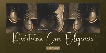 Delicately Font Poster 3