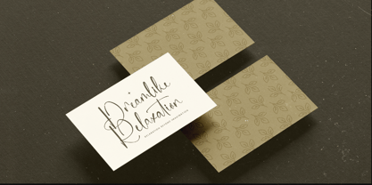 Delicately Font Poster 6