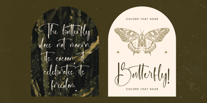 Delicately Font Poster 4