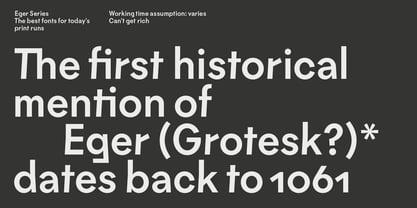 Eger Grotesk Font Poster 10