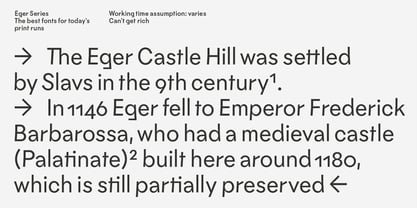 Eger Grotesk Font Poster 5