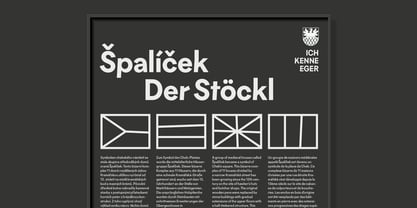 Eger Grotesk Font Poster 11