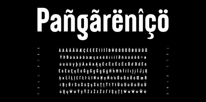 Tall King Font Poster 8