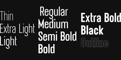 Tall King Font Poster 2