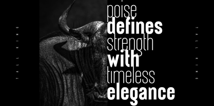 Tall King Font Poster 6