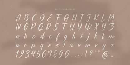 Palfian Font Poster 11