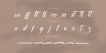Palfian Font Poster 13