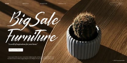 Palfian Font Poster 7