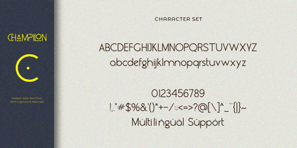Champilon Font Poster 14