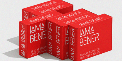 Champilon Font Poster 3