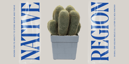 Moonni Zehher Font Poster 6