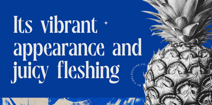 Moonni Zehher Font Poster 3