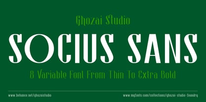 Socius Sans Font Poster 1