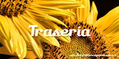 Traseria Font Poster 7