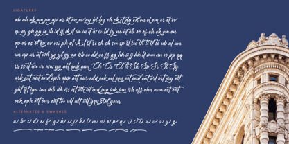 Monetz Clakson Font Poster 14