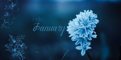 Murisa Katrin Font Poster 2