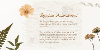 Murisa Katrin Font Poster 3