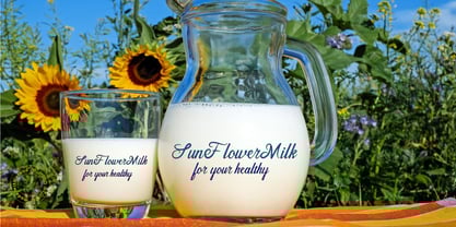 Murisa Katrin Font Poster 7