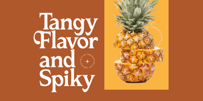 Katrine Nikolas Font Poster 13