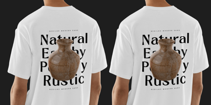 Nedilac Font Poster 9