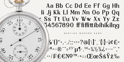 Nedilac Font Poster 10