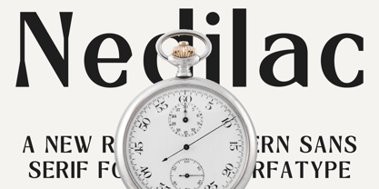 Nedilac Font Poster 1