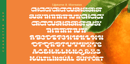 Lemon Burst Font Poster 11