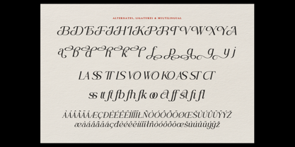 Grandeur Tropical Font Poster 10