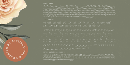 Nourisha Besthafi Font Poster 15