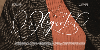 Nourisha Besthafi Font Poster 13