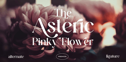 Qianta Font Poster 6