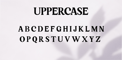 Retpack Font Poster 4
