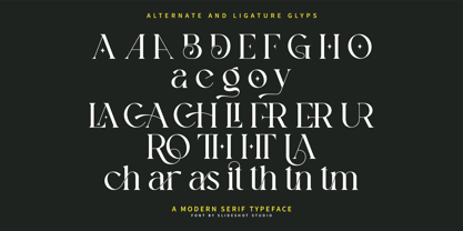 Althy Font Poster 12