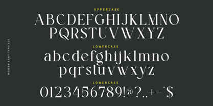 Althy Font Poster 11