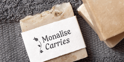 Nortlight Font Poster 4