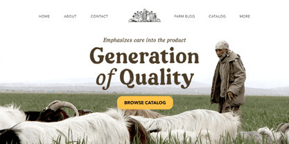 Nortlight Font Poster 5