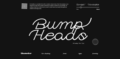 Dv Audley Font Poster 8