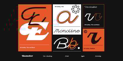 Dv Audley Font Poster 10