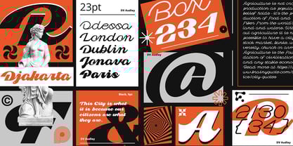 Dv Audley Font Poster 6