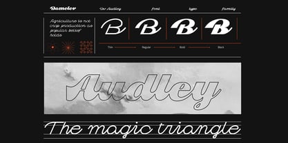 Dv Audley Font Poster 12