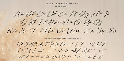 Frosty Smile Font Poster 4