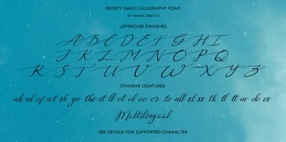 Frosty Smile Font Poster 5